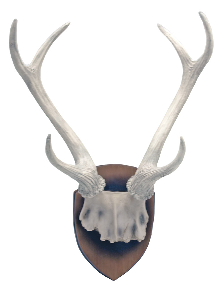 Hunter's Trophy Deer Antlers Wall Plaque