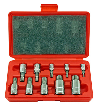 10 - pc. 12 Point Bit Socket Set