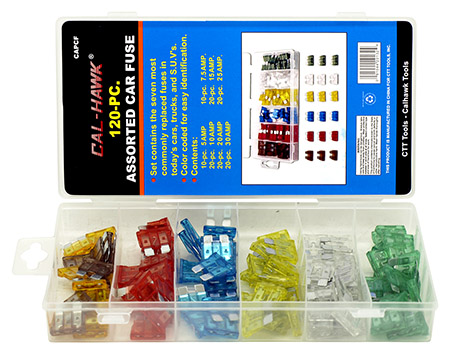 120-pc. Assorted Car Fuse
