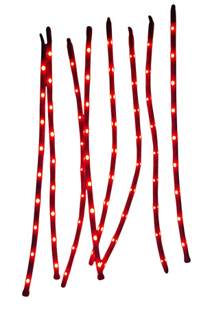 Christmas Multi-function LED Light Strip