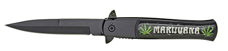 4.75" Spring Assist Mary Leaf Folding Knife - Black