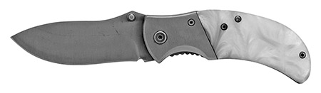4" Spring Assisted Folding Knife - Silver