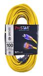 Pro STAR 100 ft. Indoor / Outdoor Extension Cord