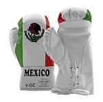 6-oz Children's Boxing Gloves Heritage Edition - Mexican Flag - Last Punch