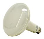 BR40 LED Light Bulb - 1300 Lumens - 3000k
